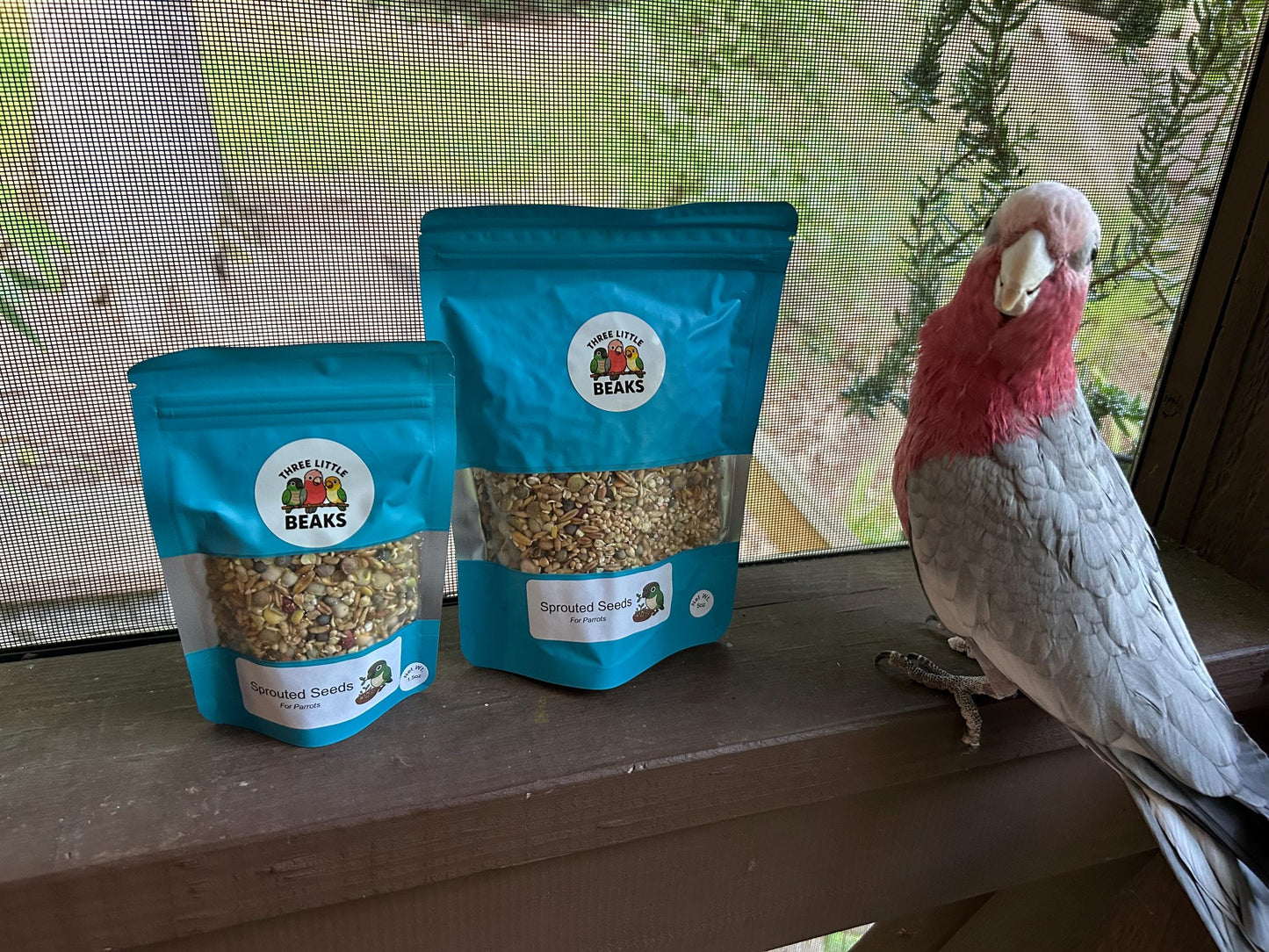 Sprouted Seed Blend