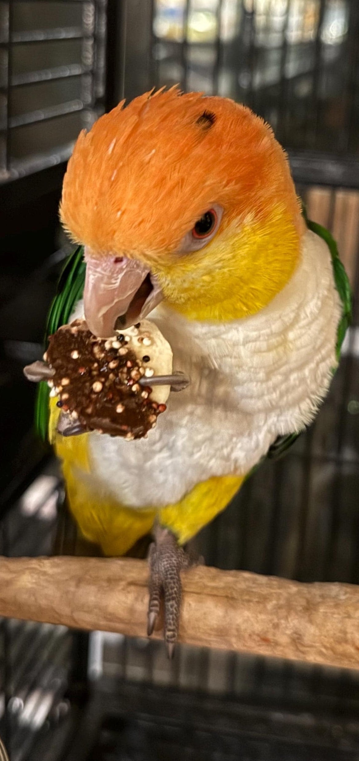 Carob Crunchies