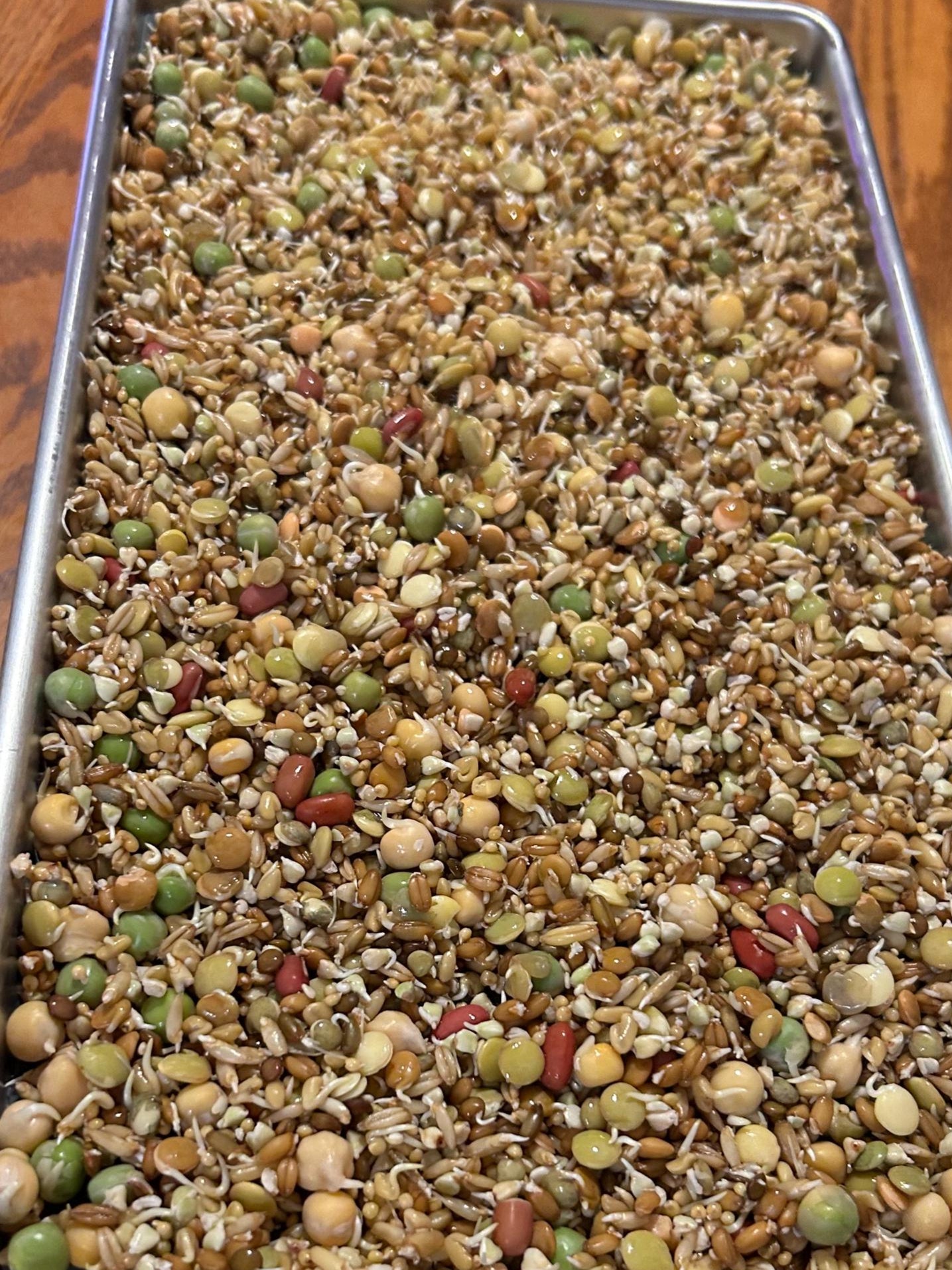 Sprouted Seed Blend