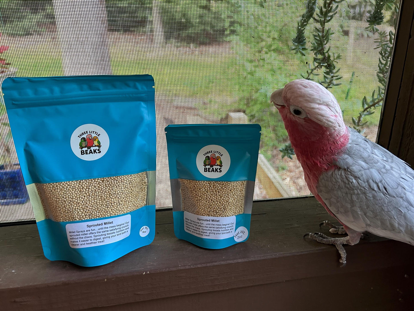 Sprouted Millet for Parrots